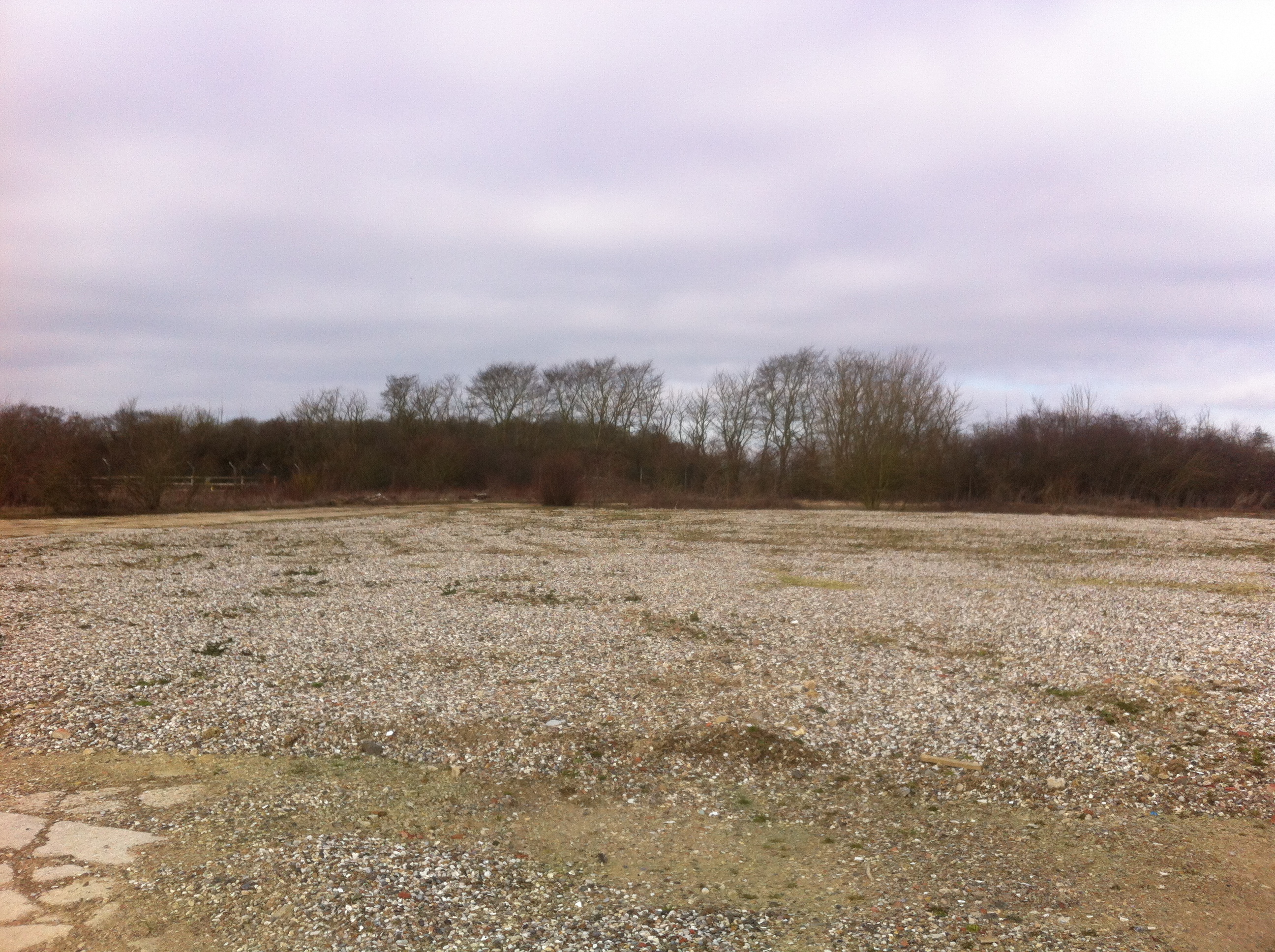 TD foraging site at MMOD Wethersfield - before seeding