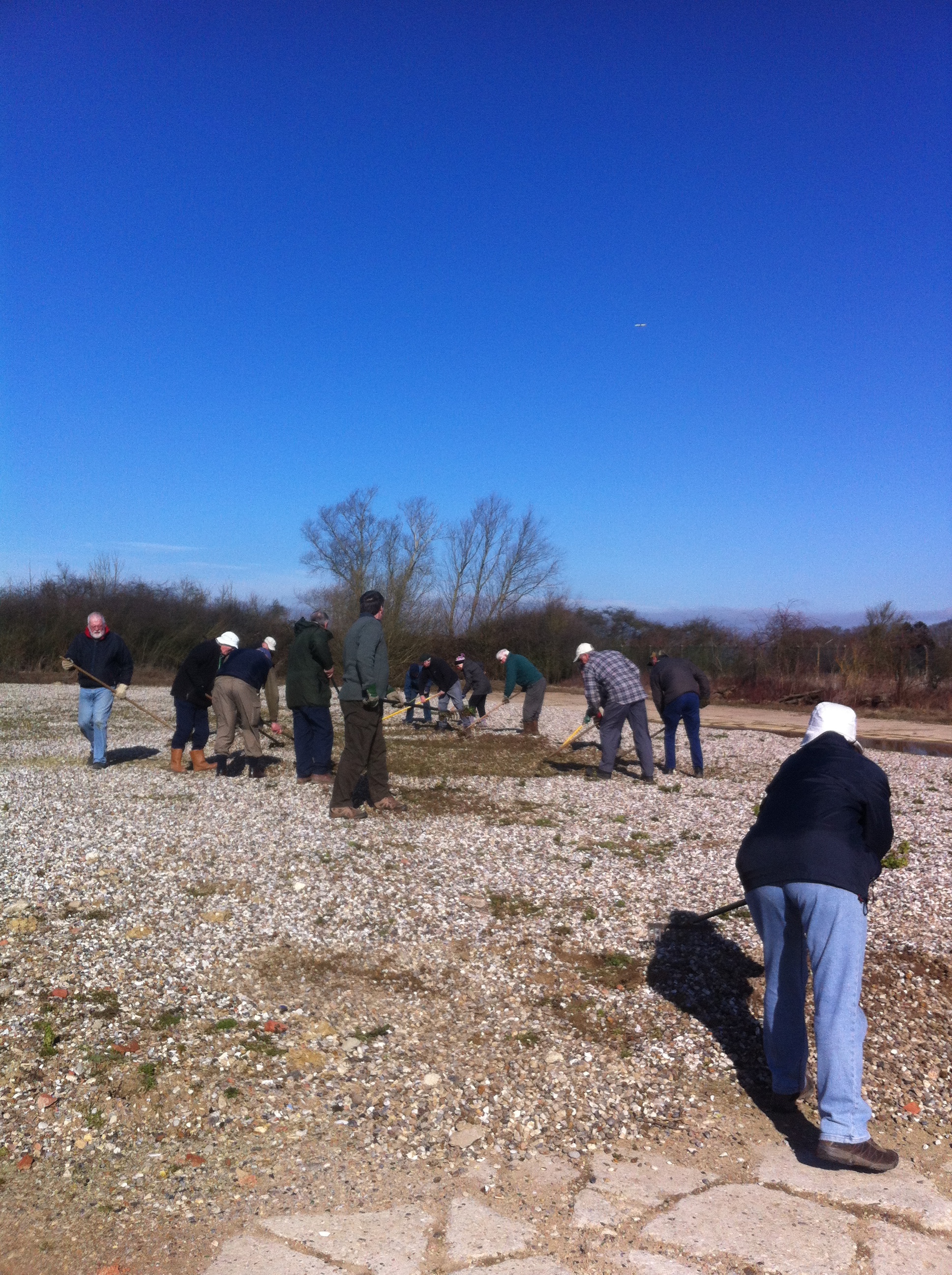 TD foraging site at MOD Wethersfield - seeding