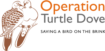 Operation Turtle Dove
