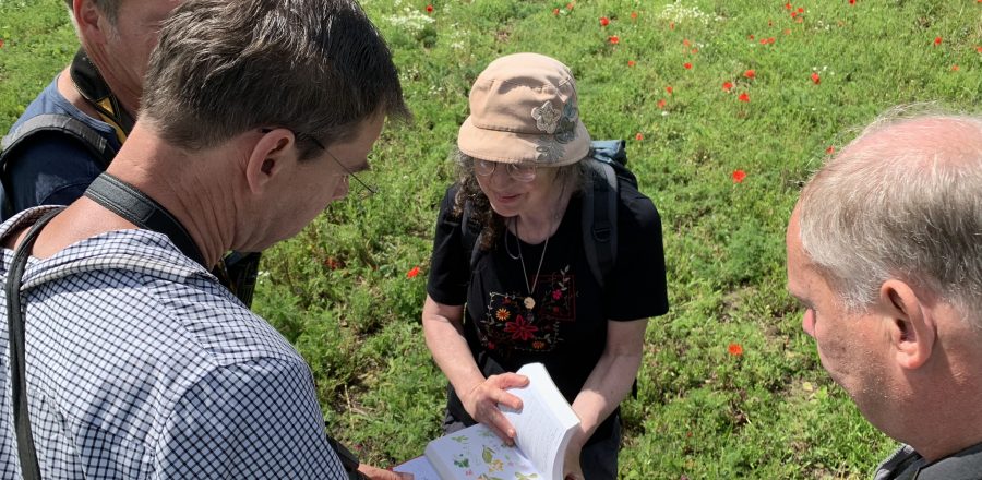 Photo: Identifying different plant species in the sown plots. Credit: Jos Ashpole